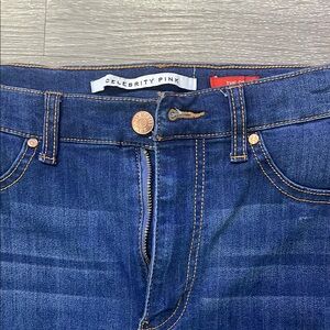 Celebrity Pink Men's Blue Jeans